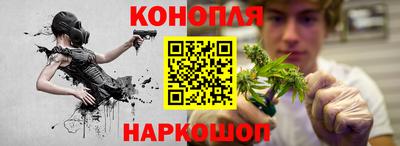 МДПВ Дубна