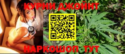 МДПВ Дубна