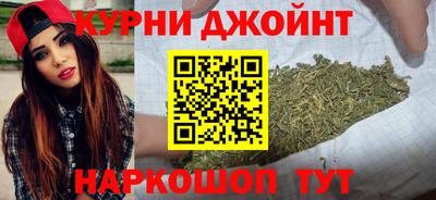 МДПВ Дубна