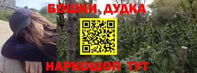 МДПВ Дубна