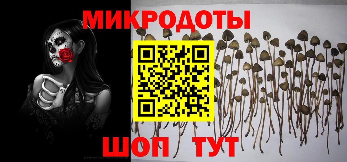 Псилоцибиновые грибы прущие грибы Истра